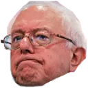 bernie_nope