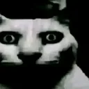 stare