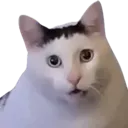 cathuh