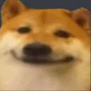 doge