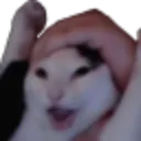 wahoo