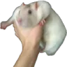 grab