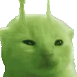bonkglorp