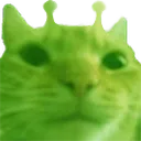 WeirdCat WeirdCat