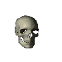 skullspin