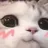 cute_cat