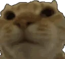 omegafastnopers