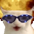 CATCHESTING CATCHESTING