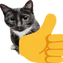 thumbsupcat