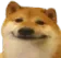 doge_smile