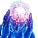 bigbrain