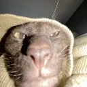 ye