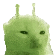 greencatspin