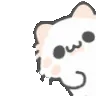 AA_Beary_Peek