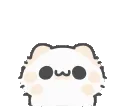 AA_Beary_Huh