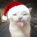 blehhhCHRISTMASEDITION