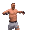 Stipe
