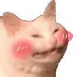 kittyh9Giggle