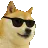 swg_hai