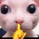 shhhhhgg