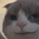 evilcatsmile