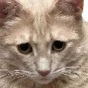 oofjim