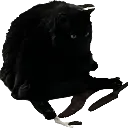 alfie