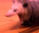 possScream