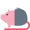 pigrat