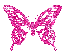 Butter_fly