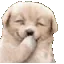 1303483563869470884