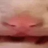 hiii2