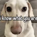 i_know