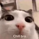 chill_bro