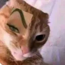 eyebrow