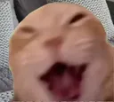 laugh