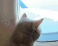 Traveling