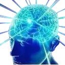 bigbrain