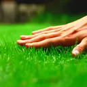 touchgrass