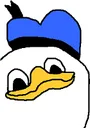 dolan