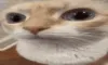 UUUH