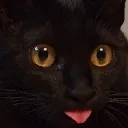 catbleh