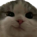nhechmep Discord emoji