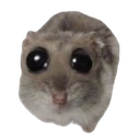 HamsterSad Discord emoji