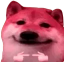 Tabi_Doge