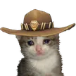 HATCAT