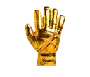 Golden_Glove