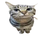emoji_21