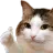 realwegud