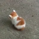 angwy